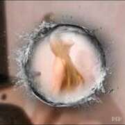 ヒメ日記 2026/04/29 20:32 投稿 黒木陽七乃 五十路マダム 郡山店