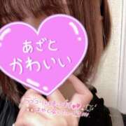 ヒメ日記 2025/11/04 20:39 投稿 ちか 錦糸町人妻ヒットパレード（シンデレラグループ）