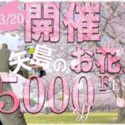ヒメ日記 2025/03/20 14:55 投稿 えりな セレブクエスト-omiya-