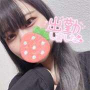 ヒメ日記 2025/04/24 18:11 投稿 えりな セレブクエスト-omiya-