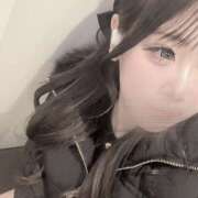 ヒメ日記 2025/02/23 18:06 投稿 める みつばちマーヤZ