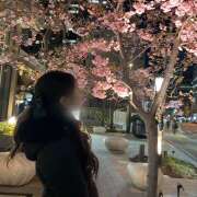 ヒメ日記 2025/03/12 20:13 投稿 める みつばちマーヤZ