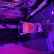 ヒメ日記 2025/03/29 19:59 投稿 める みつばちマーヤZ