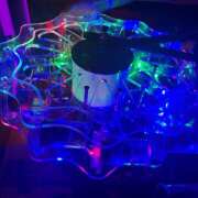 ヒメ日記 2025/05/25 01:32 投稿 める みつばちマーヤZ