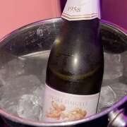 ヒメ日記 2025/06/06 00:25 投稿 める みつばちマーヤZ