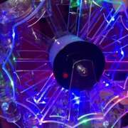 ヒメ日記 2025/06/07 00:44 投稿 める みつばちマーヤZ