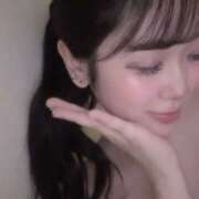 ヒメ日記 2025/07/17 19:30 投稿 める みつばちマーヤZ