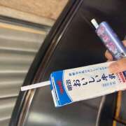 ヒメ日記 2025/07/26 16:10 投稿 める みつばちマーヤZ