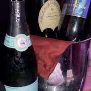 ヒメ日記 2025/07/29 01:20 投稿 める みつばちマーヤZ