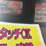 ヒメ日記 2025/09/10 01:07 投稿 める みつばちマーヤZ