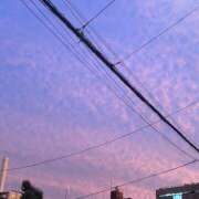 ヒメ日記 2025/10/09 19:35 投稿 める みつばちマーヤZ