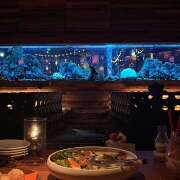 ヒメ日記 2025/10/14 18:07 投稿 める みつばちマーヤZ