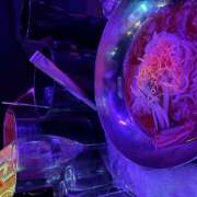 ヒメ日記 2026/01/27 00:51 投稿 める みつばちマーヤZ