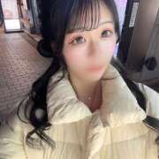 ヒメ日記 2026/02/11 20:45 投稿 める みつばちマーヤZ