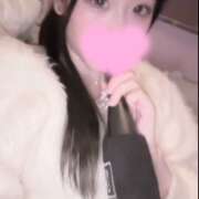 ヒメ日記 2026/02/20 16:54 投稿 める みつばちマーヤZ