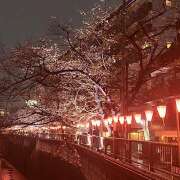 ヒメ日記 2026/03/26 17:56 投稿 める みつばちマーヤZ