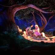 ヒメ日記 2026/04/29 18:52 投稿 める みつばちマーヤZ