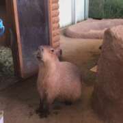 ヒメ日記 2025/06/30 18:50 投稿 うめ One More奥様　町田相模原店