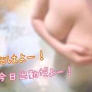 ヒメ日記 2025/11/08 10:20 投稿 うめ One More奥様　町田相模原店