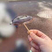 ヒメ日記 2025/12/27 14:50 投稿 うめ One More奥様　町田相模原店