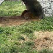 ヒメ日記 2026/06/09 08:50 投稿 うめ One More奥様　町田相模原店