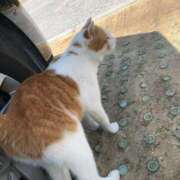 ヒメ日記 2025/05/17 08:02 投稿 白雪　ふゆ アムアージュ