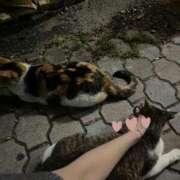 ヒメ日記 2025/06/25 22:32 投稿 白雪　ふゆ アムアージュ