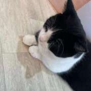 ヒメ日記 2025/08/22 21:09 投稿 白雪　ふゆ アムアージュ