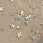 ヒメ日記 2025/07/22 18:51 投稿 あいみ 素敵な女の子は好きですか？