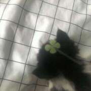 ヒメ日記 2025/07/26 16:24 投稿 あいみ 素敵な女の子は好きですか？