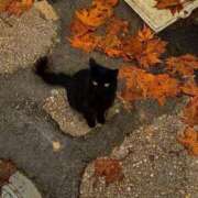 ヒメ日記 2025/10/22 17:49 投稿 あいみ 素敵な女の子は好きですか？