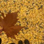 あいみ 出勤中✨ 素敵な女の子は好きですか？