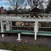 あいみ ゆるっと旅の余韻中🍂 素敵な女の子は好きですか？