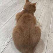 あいみ 😽 素敵な女の子は好きですか？