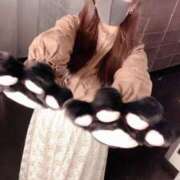 ヒメ日記 2024/12/12 11:52 投稿 そら 山梨　デリヘル No.1 『Sコレクション』 甲府