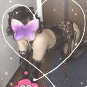 ヒメ日記 2025/05/11 15:33 投稿 野村愛実 こあくまな熟女たち姫路店（KOAKUMAグループ）