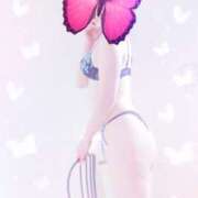 ヒメ日記 2025/02/15 00:27 投稿 綾野 りん こあくまな熟女たち姫路店（KOAKUMAグループ）