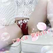 ヒメ日記 2025/04/14 08:56 投稿 更科 けい こあくまな熟女たち姫路店（KOAKUMAグループ）