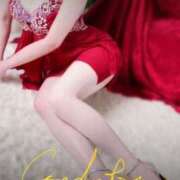 ヒメ日記 2024/12/14 12:48 投稿 春風みか こあくまな熟女たち姫路店（KOAKUMAグループ）