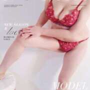 ヒメ日記 2025/04/25 08:01 投稿 稲元静香 こあくまな熟女たち姫路店（KOAKUMAグループ）