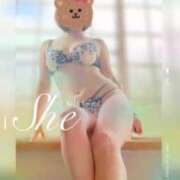 ヒメ日記 2024/12/27 20:38 投稿 鳴宮 さつき こあくまな熟女たち姫路店（KOAKUMAグループ）