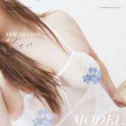 ヒメ日記 2025/12/30 09:41 投稿 白石 さとみ こあくまな熟女たち姫路店（KOAKUMAグループ）