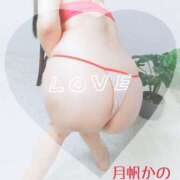 ヒメ日記 2025/11/15 19:15 投稿 月帆 かの こあくまな熟女たち姫路店（KOAKUMAグループ）