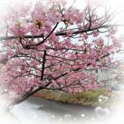 ヒメ日記 2025/03/06 15:20 投稿 りる 池袋あられ