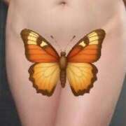 ヒメ日記 2026/01/10 15:54 投稿 黒岩千香 こあくまな熟女たち姫路店（KOAKUMAグループ）