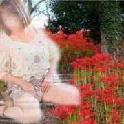 ヒメ日記 2025/09/23 08:58 投稿 工藤あや こあくまな熟女たち姫路店（KOAKUMAグループ）