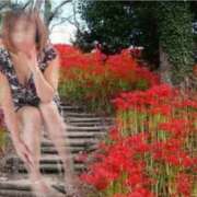 ヒメ日記 2025/09/24 09:03 投稿 工藤あや こあくまな熟女たち姫路店（KOAKUMAグループ）