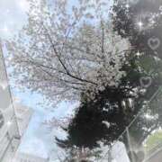 ヒメ日記 2025/04/12 16:27 投稿 てぃー 池袋あられ