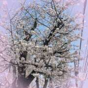 てぃー てぃーです^_ ̫ _^っ☔️ 池袋あられ