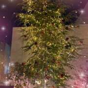 ヒメ日記 2024/12/15 15:29 投稿 むる 池袋あられ